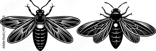 A firefly glowing, isolated on a white background. Firefly hand drawing vector illustration isolated on white background