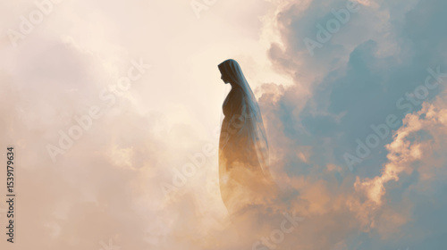 Peaceful silhouette of Virgin Mary ascending through clouds for Assumption of Mary holy celebration vector