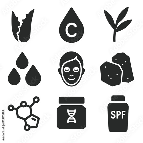 Skincare Ingredient Icons. Solid style icons of skincare ingredients: aloe leaf, vitamin C drop, tea tree, hyaluronic acid, clay