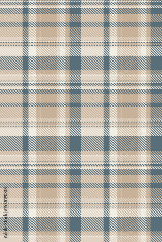 Youth tartan pattern textile, customized seamless fabric texture. Symmetry background plaid check vector in pastel and light colors.