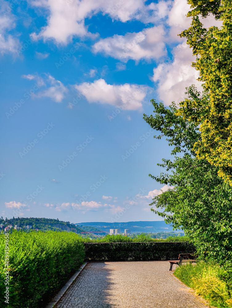 Naklejka premium Serene pathway leading through lush greenery, with a clear blue sky dotted with clouds overhead. The scene is set against a backdrop of distant hills or mountains, creating a peaceful atmosphere 