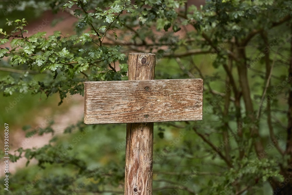Naklejka premium Blank Wooden Sign on Trail
