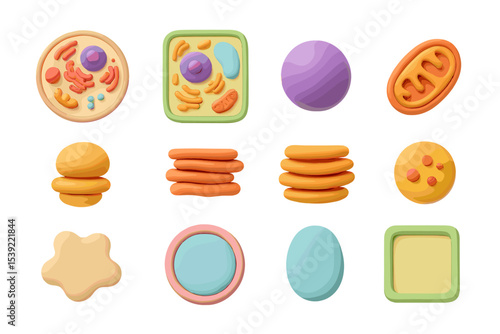 Colorful 3d cell model with organelles on vibrant background
