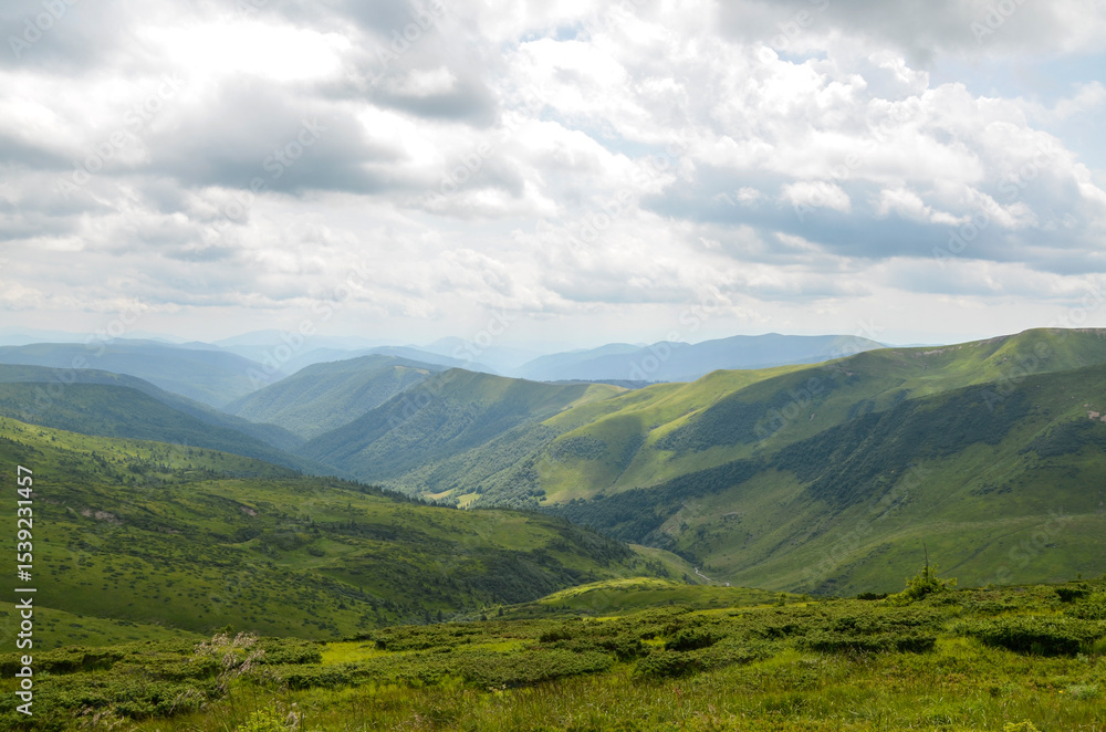 Fototapeta premium Picturesque view of lush green valleys and mountains stretching under a majestic cloudy sky, evoking serenity and a connection with nature. Carpathian Mountains, Ukraine