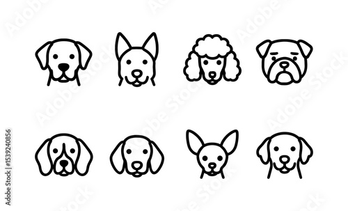 Popular dog breeds: labrador, shepherd, poodle, bulldog, beagle, dachshund, chihuahua, golden retriever