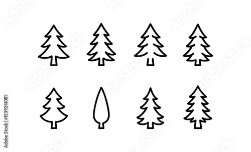 Tree outline collection: pine, spruce, cedar, larch, cypress, juniper, redwood designs
