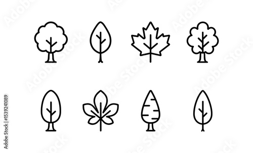 Minimalist line art of various tree leaves - beech, hickory, maple, oak, walnut, chestnut, birch, poplar