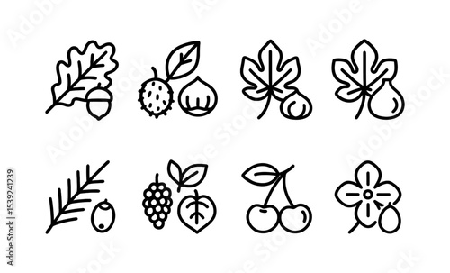 Monochrome line icons of oak, chestnut, hazelnut, fig, yew, mulberry, cherry, and dogwood leaves
