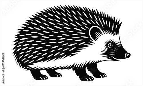 Stylized black and white hedgehog illustration