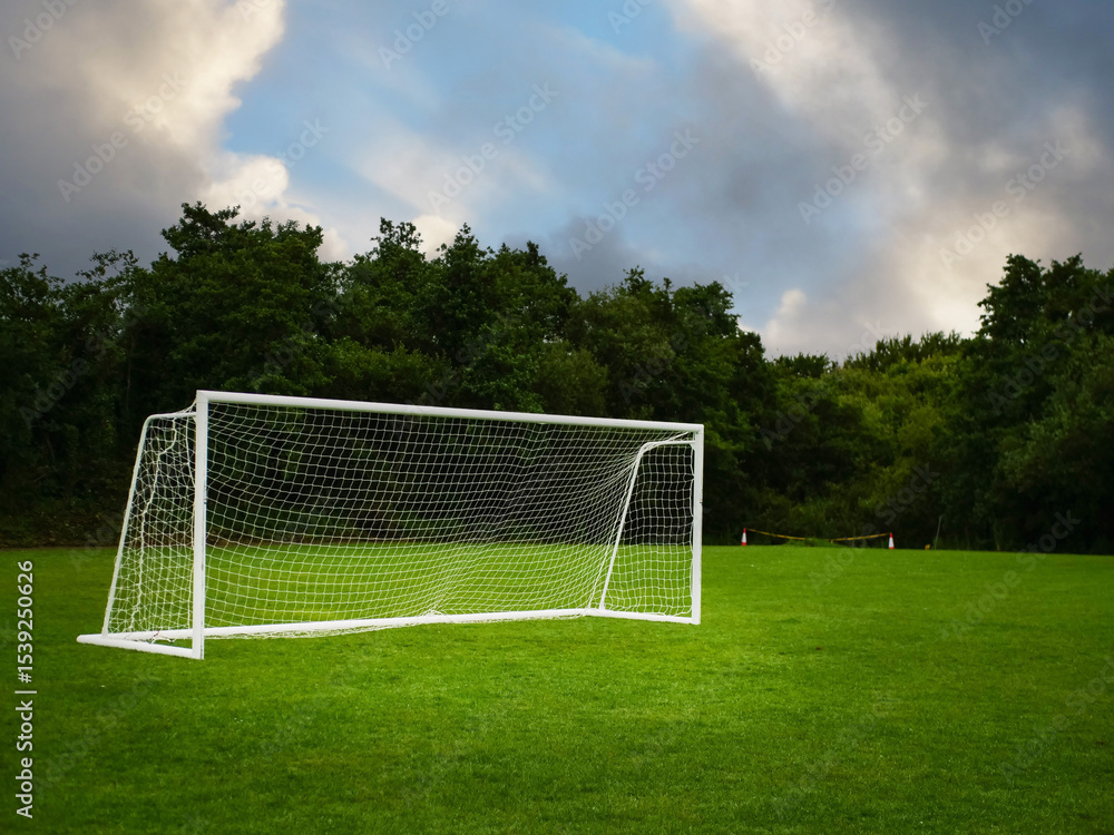 Fototapeta premium Soccer or football goal posts on clean green grass in foreground, dark trees and dramatic cloudy sky in the background. Popular sport equipment and training ground. Professional club pitch.