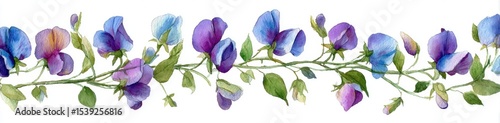 Watercolor sweet peas, blue and purple flowers, a long garland of small leaves and buds, on a white background Generative AI