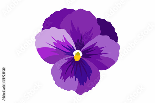 Beautiful single purple pansy flower isolated on a white background