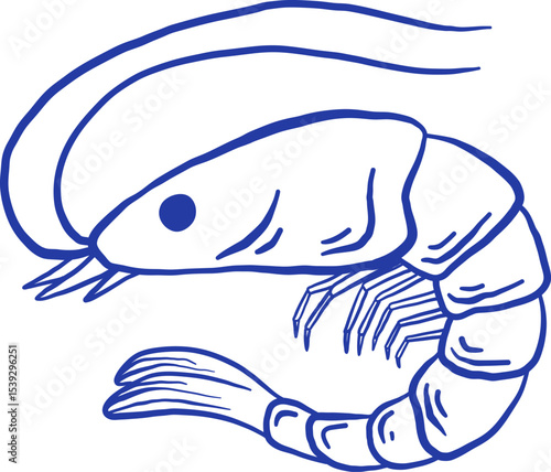 Hand drawn shrimp vector illustration. Doodle seafood isolated on white background. La dolce vita Italy retro style
