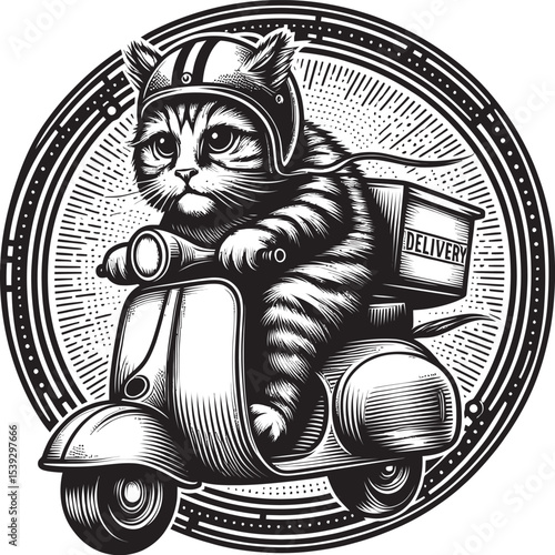Cool Cat Rider on Classic Motorcycle