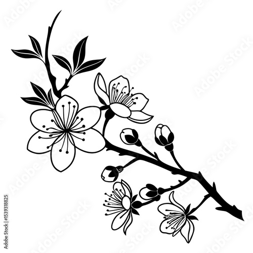 Sakura Branch Silhouette: The delicate silhouette of a blossoming cherry blossom branch elegantly unfurls, celebrating the ephemeral beauty of spring and nature.