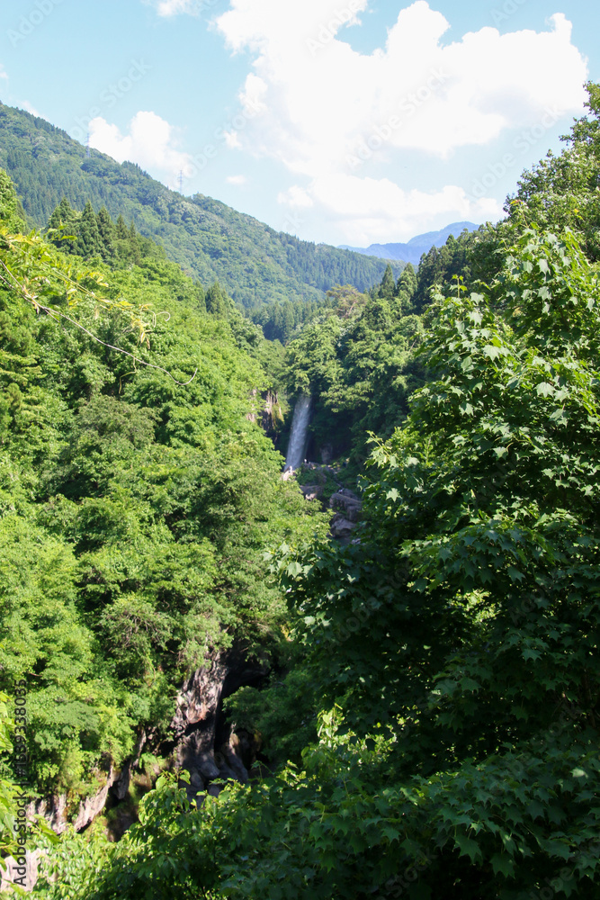 Obraz premium 綿ケ滝