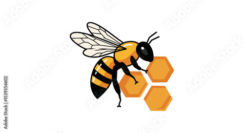 Honeybee and honeycomb illustration, natural organic product