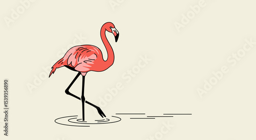 Pink flamingo standing in shallow water bird