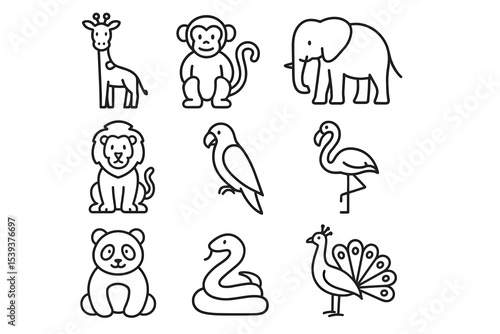 Cute animal outline collection: giraffe, monkey, elephant, lion, parrot, flamingo, panda, snake, peacock