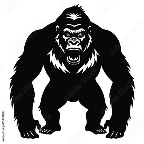 gori vector