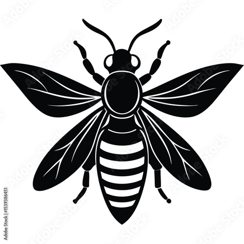 hornet vector animal