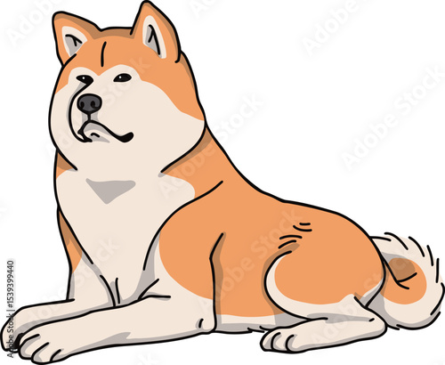 秋田犬　カラー　犬のイラスト　akita	

