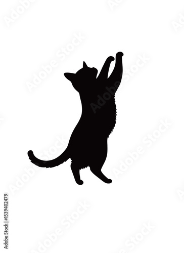 Silhouette of a playful black cat reaching up in curiosity.