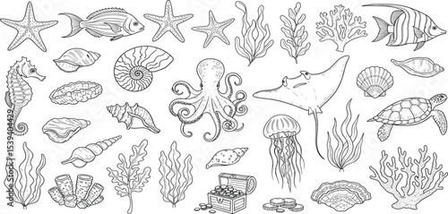 Sea Animals vector set with seaweeds, corals and seashells. Drawing of underwater life with seahorse and turtle in line art style. Engraving of octopus and jelly fish. Graphic etching of manta ray.