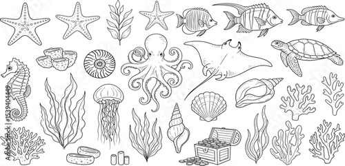 Sea Animals vector set with seaweeds, corals and seashells. Drawing of underwater life with seahorse and turtle in line art style. Engraving of octopus and jelly fish. Graphic etching of manta ray.