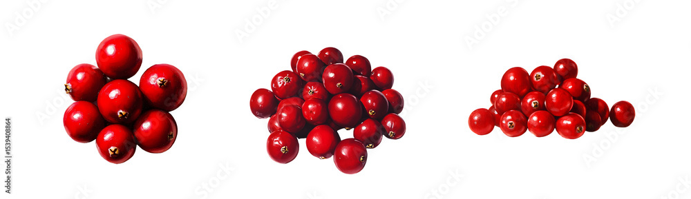 set of Close-up view of clusters of cranberries. isolated on transparent background set of Close-up view of clusters of cranberries. isolated on transparent background