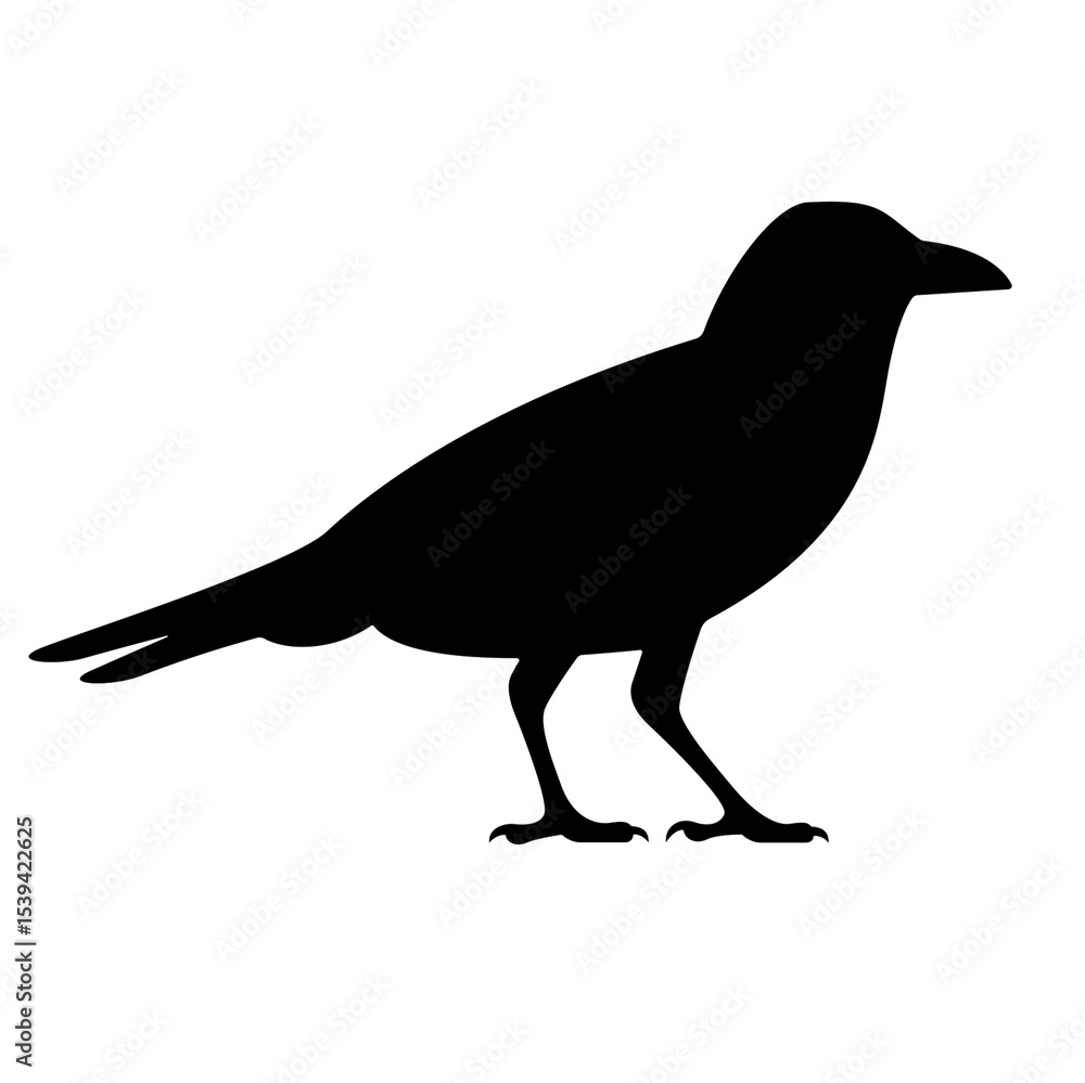 Obraz premium Mysterious Black Crow Silhouette for Halloween Decor and Artistic Designs