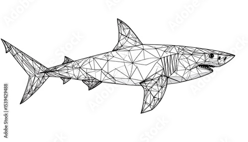 Wireframe Shark Ocean Predator Art.