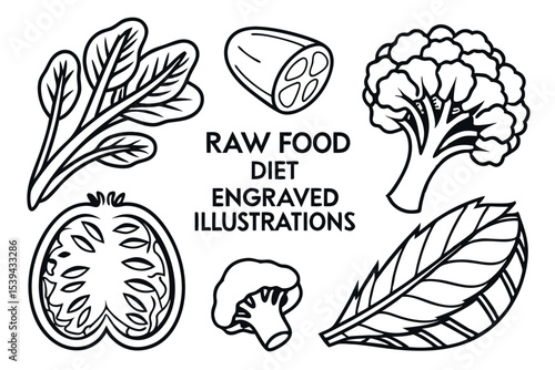 Detailed engraved illustrations of fresh vegetables for raw food diet designs