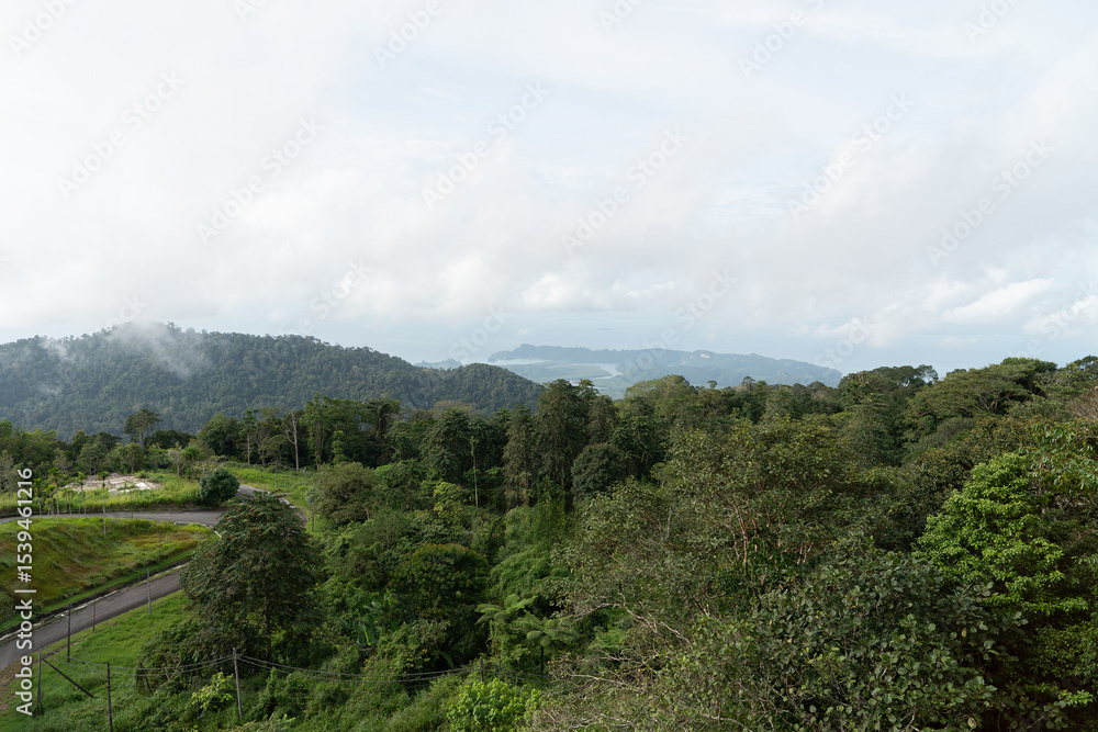 Fototapeta premium A view from Gunung Raya on Langkawi, showing vast lush forests and distant misty mountains under a cloudy sky.