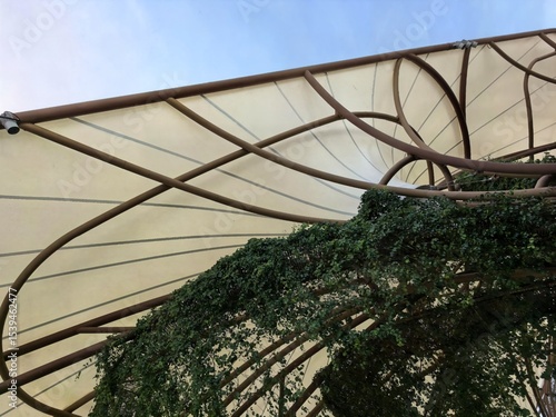 Organic Fabric Canopy Roof Structure with Green Vines