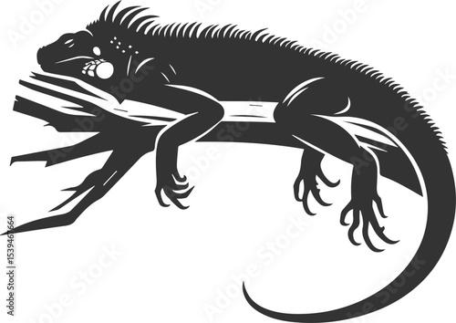 Animal vector silhouette of a iguana black illustration drawing