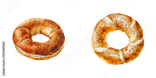 bagel watercolor vector illustration
