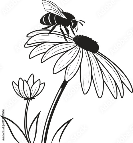 Bee on daisy flower silhouette