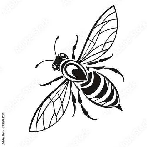Striped bee in flight silhouette