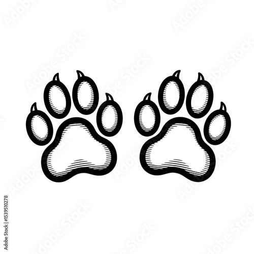 Two paw prints isolated on white background show animal tracks