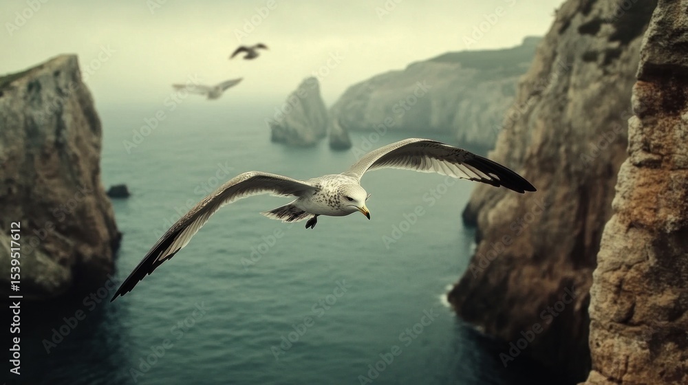 Fototapeta premium Seagulls over rugged cliffs