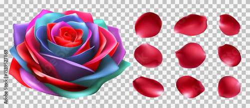 Multi-colored roses and multi-colored flowers representing diversity and inclusivity to be used in wedding celebrations LGBTQ