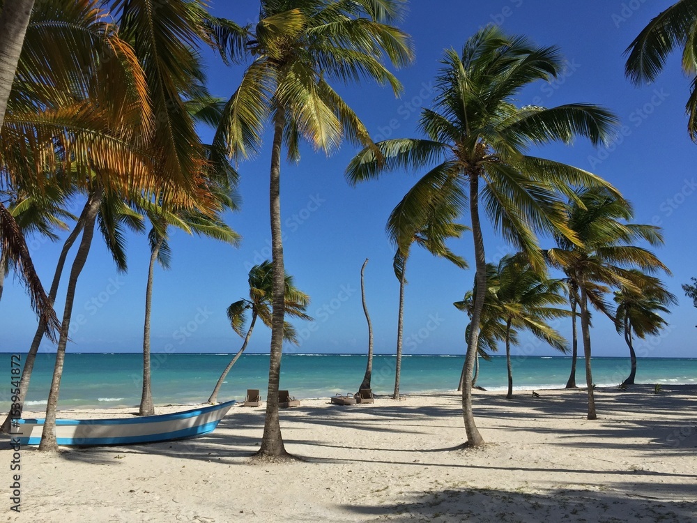 Fototapeta premium Tropical Beach with Palm Trees and Boat