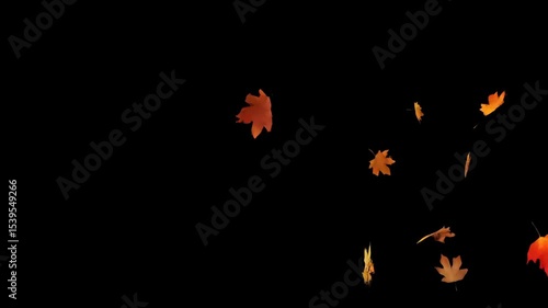 Autumn Leaves Blown by Wind on Black Background
