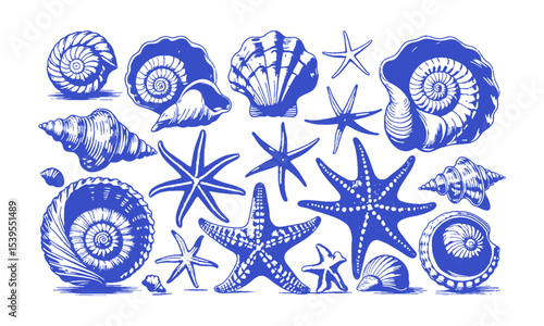  scalable vector illustration featuring a diverse collection of seashells and starfish, shell types—spiraled conchs, scalloped bivalves, and ridged clam shells, easily editable and scalable.