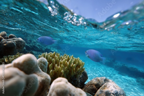 Fototapeta Naklejka Na Ścianę i Meble -  Clear blue ocean with healthy coral reef and marine life