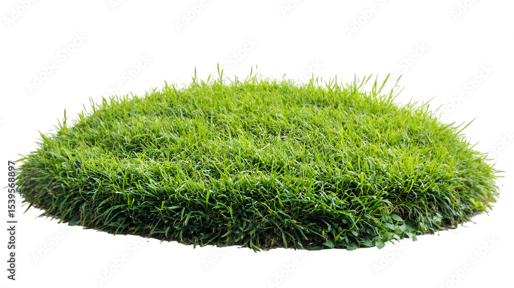 Fototapeta premium Isolated green grass patch for landscaping design element lawn turf ground texture garden nature outdoor transparent background png