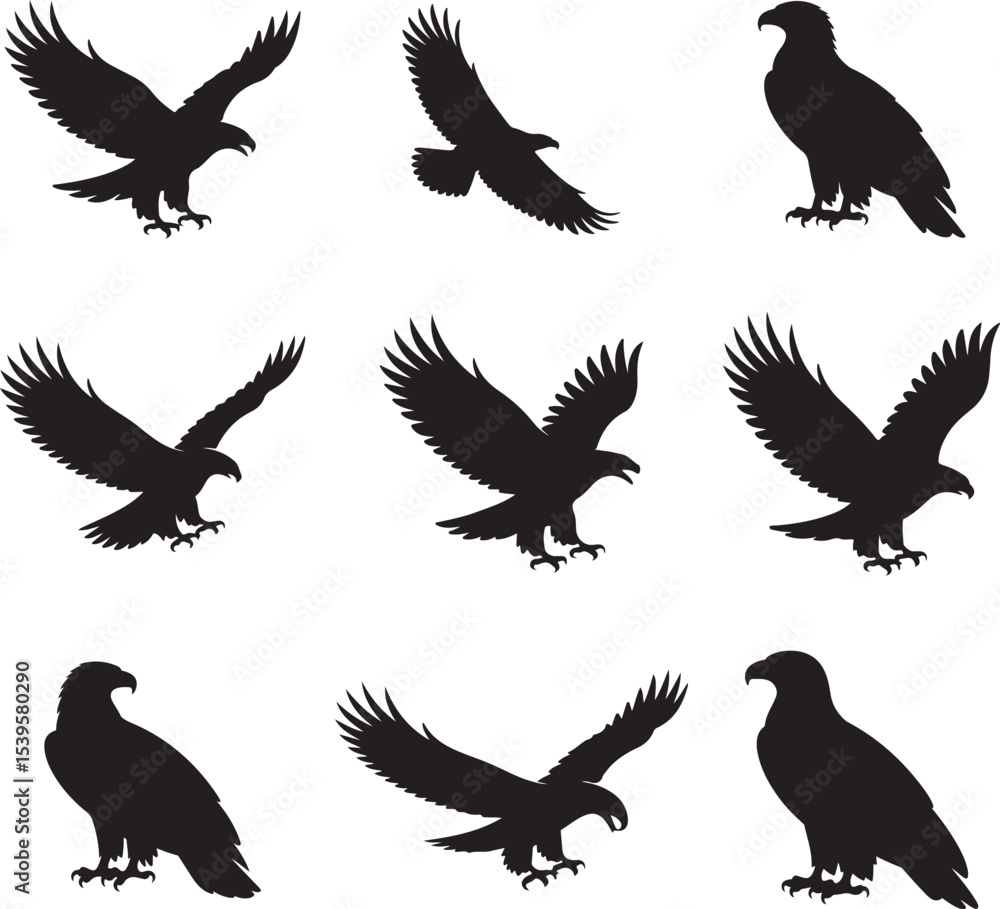 Obraz premium Majestic Eagle Silhouette Vector Collection