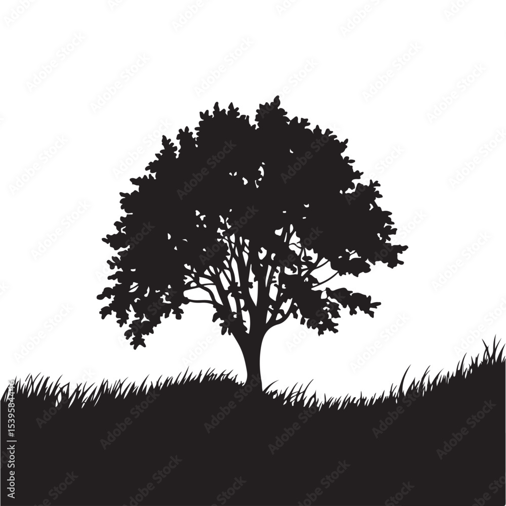 Fototapeta premium Silhouette of a tree in the field with grass