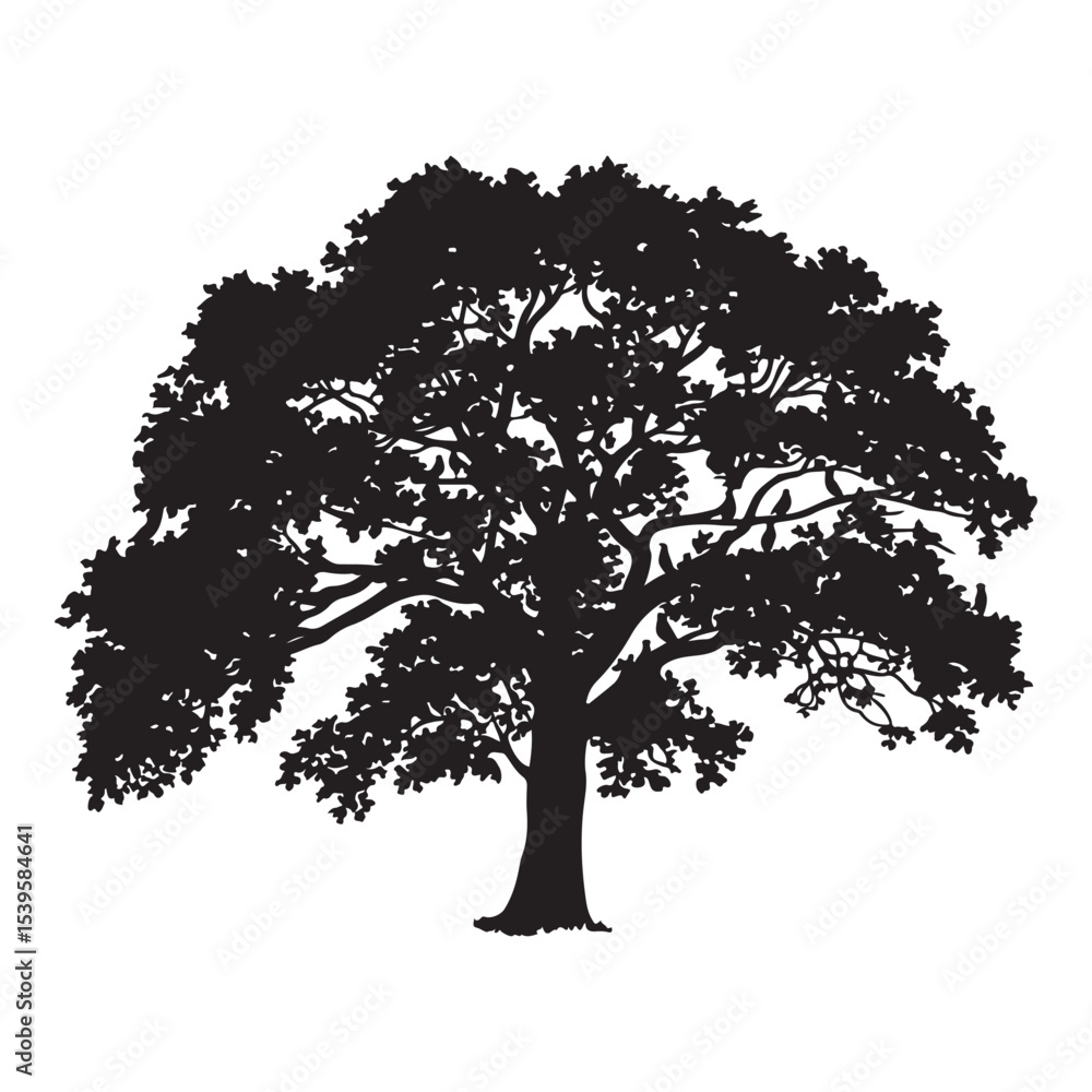 Fototapeta premium Silhouette of a tree in the field with grass